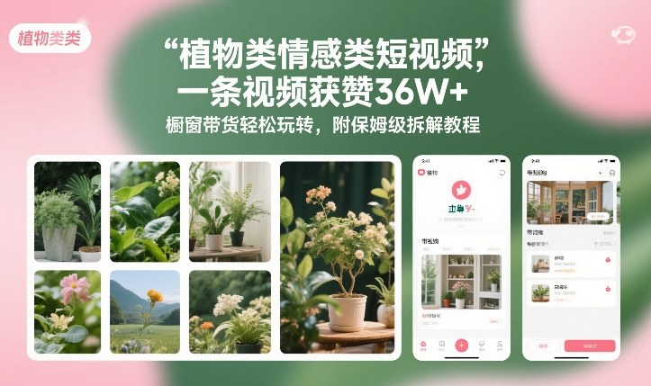 植物类情感类短视频，一条视频获赞36W+，橱窗带货轻松玩转，附保姆级拆解教程-水滴知识网