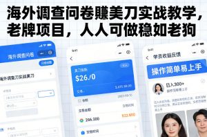 海外调查问卷賺美刀实战教学,老牌项目,人人可做稳如老狗-水滴知识网