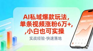 AI私域爆款玩法,单条视频涨粉6W+,小白也可实操-水滴知识网