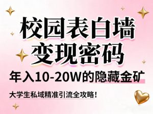 校园表白墙变现密码，年入10-20W的隐藏金矿，大学生私域精准引流全攻略！-水滴知识网