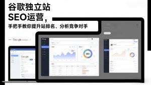 谷歌独立站SEO运营，手把手教你提升网站排名、分析竞争对手（更新2026）-水滴知识网