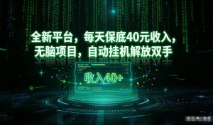 最新看广平台,每天保底30-4米,无脑项目,自动挂G解放双手【揭秘】-水滴知识网