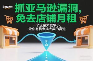 抓亚马逊漏洞,免去店铺月租,一个流量大竞争小,让你有机会成大卖的赛道-水滴知识网