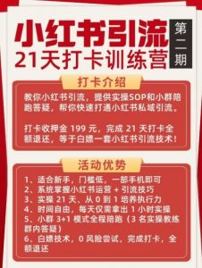 小红书引流21天打卡训练营第二期,助你快速打通小红书私域引流打粉-水滴知识网
