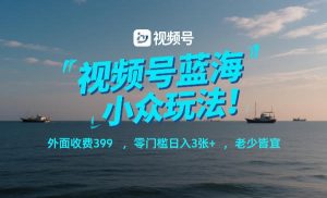 视频号蓝海小众玩法!外面收费399,零门槛日入3张+,老少皆宜-水滴知识网