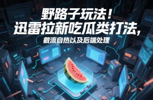 野路子玩法！迅雷拉新吃瓜类打法，截流自热以及后端处理-水滴知识网