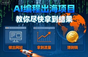 AI编程出海项目,教你尽快拿到结果-做出网站、拿到流量、賺到钱-水滴知识网