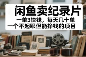 闲鱼卖纪录片,一单3快钱,每天几十单,一个不起眼但能挣钱的项目【揭秘】-水滴知识网