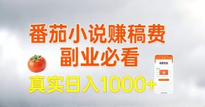 全网独家，番茄小说賺稿费邪修玩法，操作超级简单，单日收益1k+【揭秘】-水滴知识网