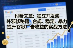 付费文章：独立开发海外邪修秘籍，合规、稳定、暴力提升谷歌广告收益的实战方法-水滴知识网