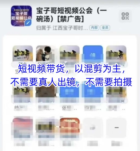 宝子哥头部团队短视频带货,以混剪为主,不需要真人出镜,不需要拍摄【更新26年3月】-水滴知识网