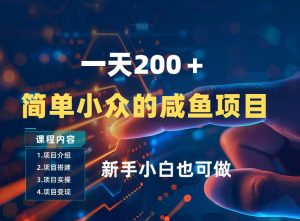 一天收入2张，一个简单小众的咸鱼项目，0门槛小白也能做-水滴知识网