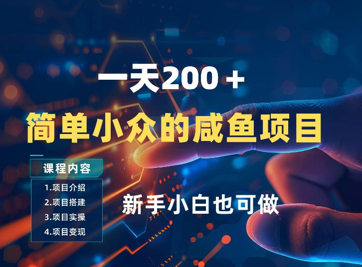 一天收入2张,一个简单小众的咸鱼项目,0门槛小白也能做-水滴知识网