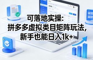 可落地实操:拼多多虚拟类目矩阵玩法,新手也能日入1k+【揭秘】-水滴知识网