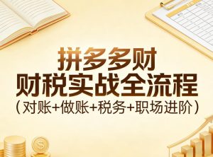 拼多多财税实战全流程(对账+做账+税务+职场进阶)-水滴知识网