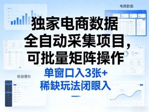 独家电商数据全自动采集项目,可批量矩阵操作,单窗口日入3张+,稀缺玩法闭眼入【揭秘】-水滴知识网