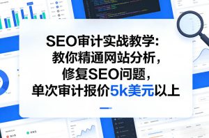 SEO审计实战教学:教你精通网站分析,修复SEO问题,单次审计报价5k美元以上-水滴知识网
