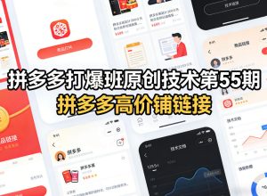拼多多打爆班原创技术第55期,拼多多高价铺链接-水滴知识网