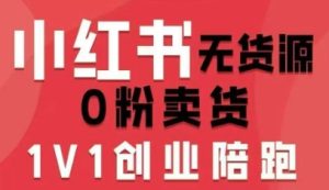 小红书无货源0粉电商课，开店准备、选品策略、笔记撰写、视频剪辑、数据分析、账号打造、资料文档（更新26年3月）-水滴知识网