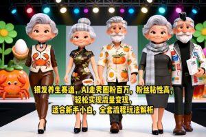 银发养生赛道，AI走秀圈粉百万，粉丝粘性高，轻松实现流量变现，适合新手小白，全套流程玩法解析-水滴知识网