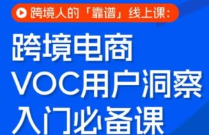 跨境电商VOC用户洞察入门必备课，跨境人的靠谱线上课-水滴知识网