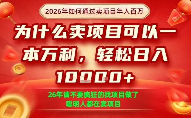 一单净利润1K+，26年想年入100个W，死磕卖项目就够了【揭秘】-水滴知识网