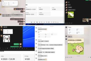 雷神加速器项目模拟器_无脑1分钟1条视频矩阵_疯狂报单打法【焚诀】-水滴知识网