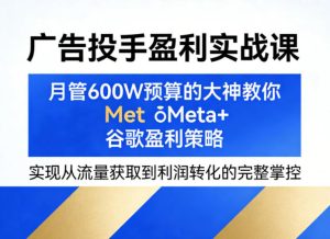 广告投手盈利实战课，月管600W预算的大神教你Meta+谷歌盈利策略，实现从流量获取到利润转化的完整掌控-水滴知识网