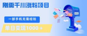 刚需千川涨粉项目，一部手机无需技术，单日变现1k+，当天做当天见收益【揭秘】-水滴知识网