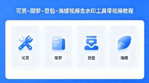 可灵–即梦–豆包–海螺视频去水印工具带视频教程-水滴知识网