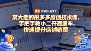 某大佬的拼多多原创技术课,手把手教小二开直通车,快速提升店铺销量-水滴知识网