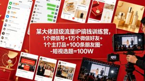 某大佬超级流量IP搞钱训练营,1个微信号+1万个微信好友+1个主打品+100条朋友圈-短视选题=100W-水滴知识网