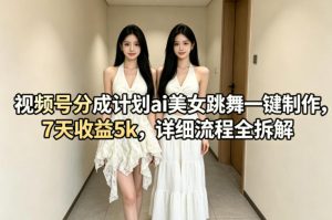 视频号分成计划ai美女跳舞一键制作,7天收益5k,详细流程全拆解-水滴知识网