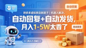 拼多多虚拟类目新路子|机器人解决,自动回复+自动发货,月入1-5W太香了【揭秘】-水滴知识网