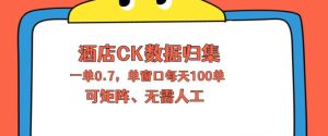 上班也能玩的酒店CK数据归集,一单0.7单窗口每天可做100单,一个人就能矩阵操作【揭秘】-水滴知识网