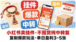 小红书卖挂件,不囤货纯中转复制爆款玩法,单日盈利3-5张-水滴知识网