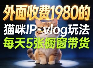 宠物赛道猫咪IP-vlog玩法，26条视频涨粉29W，每天5张橱窗带货拆解-水滴知识网