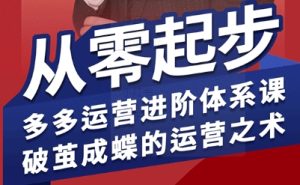 拼多多运营进阶系统课,从零起步,多多运营进阶体系课,破茧成蝶的运营之术(更新26年4月)-水滴知识网