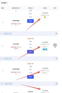 【超强副业】淘宝超高价女装项目:1单賺1k+,可工作室放大(共52节)-水滴知识网