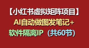 小红书虚拟矩阵项目:软件隔离IP+AI自动做图发笔记(共60节)-水滴知识网