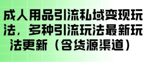 成人用品引流私域变现玩法,多种引流玩法最新玩法,操作简单(含货源渠道)-水滴知识网