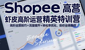 Shopee虾皮高阶运营精英特训营,高阶运营技巧+流量提升+转化率优化,助你业绩翻倍(更新26年5月)-水滴知识网