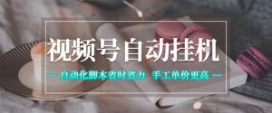 视频号自动挂G项目,自动化脚本省时省力,手工单价更高,日入300+全网最稳【揭秘】-水滴知识网