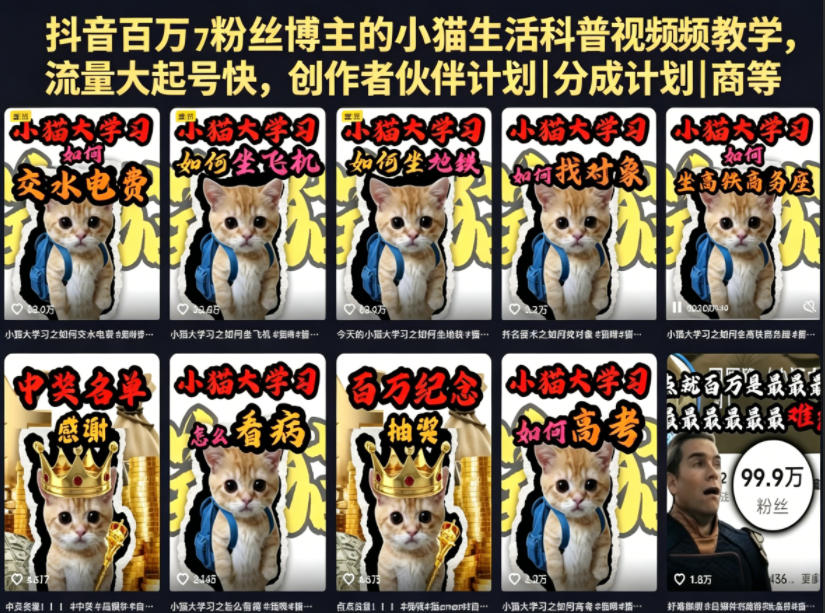 抖音百万粉丝博主的小猫生活科普视频教学,流量大起号快,创作者伙伴计划|分成计划|商单|收徒等-水滴知识网