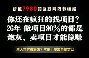 26年请不要疯狂的找项目了,卖项目远比你想象的暴利,你也可以月入10W+【揭秘】-水滴知识网