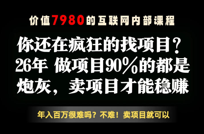 26年请不要疯狂的找项目了,卖项目远比你想象的暴利,你也可以月入10W+【揭秘】-水滴知识网