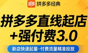 拼多多直线起店+强付费3.0,教你稳定起店、高效控投产、破解流量瓶颈(更新4月)-水滴知识网