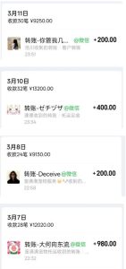 宠物托运阳光赛道賺钱教学,小众高刚需冷门项目,日均10单稳定盈利,单均利润200+-水滴知识网