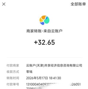 微信游戏撸广独家玩法,今天做明天就能出收益,单号日收益20+,可多号矩阵放大-水滴知识网